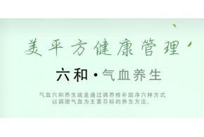 水芝美气血美容养生连锁