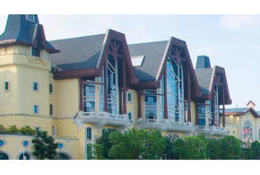 中国健康养老集团有限公司